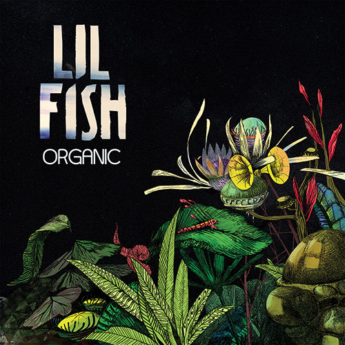 Lil Fish - Organic
